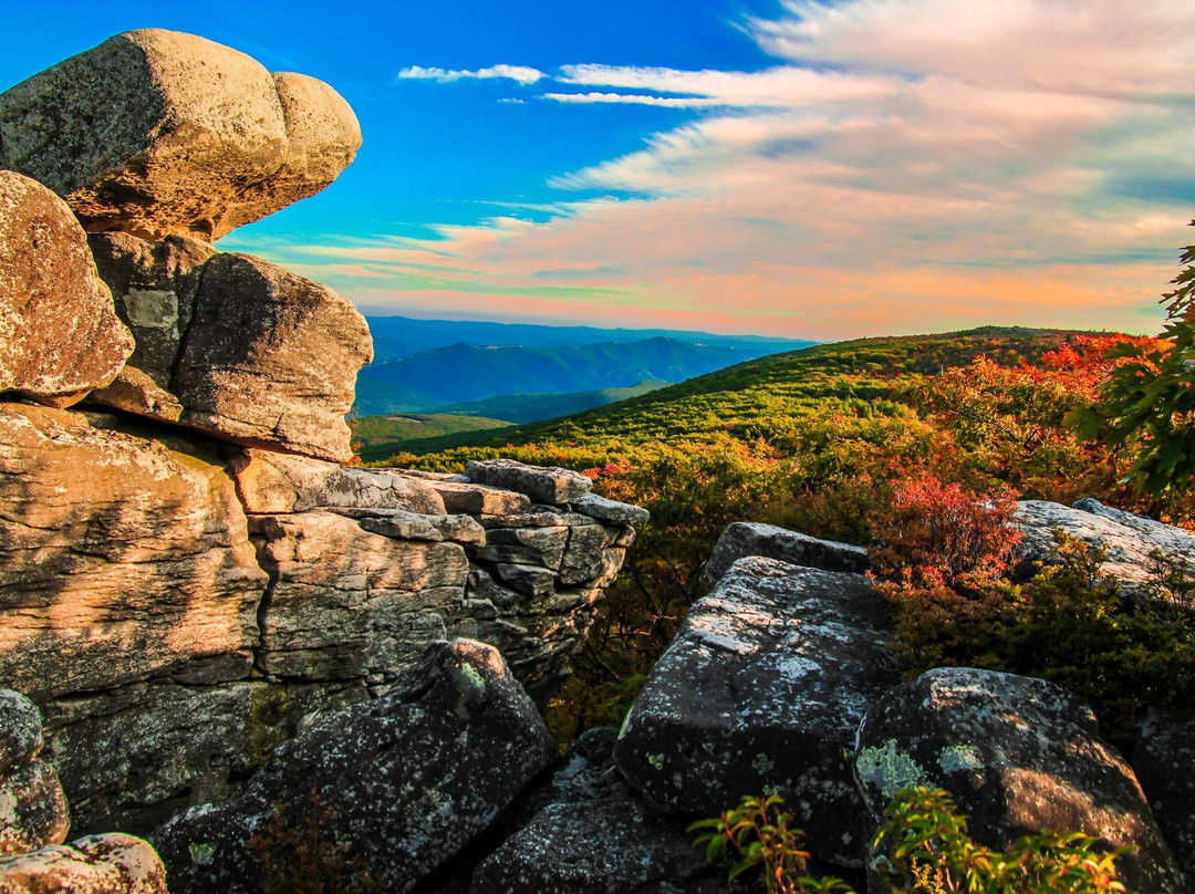 Elkins旅游景点-Dolly Sods Wilderness Area