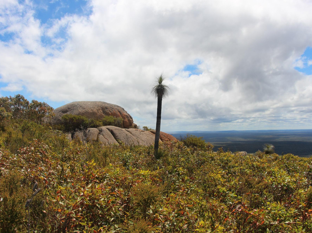 Mount Lindesay Walk Trail-丹麦必去景点