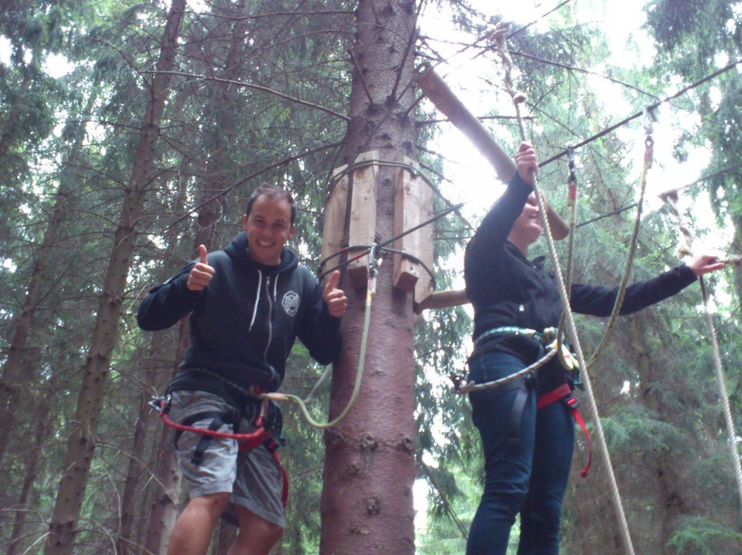 Kletterwald Chemnitz-Rabenstein-开姆尼斯必去景点