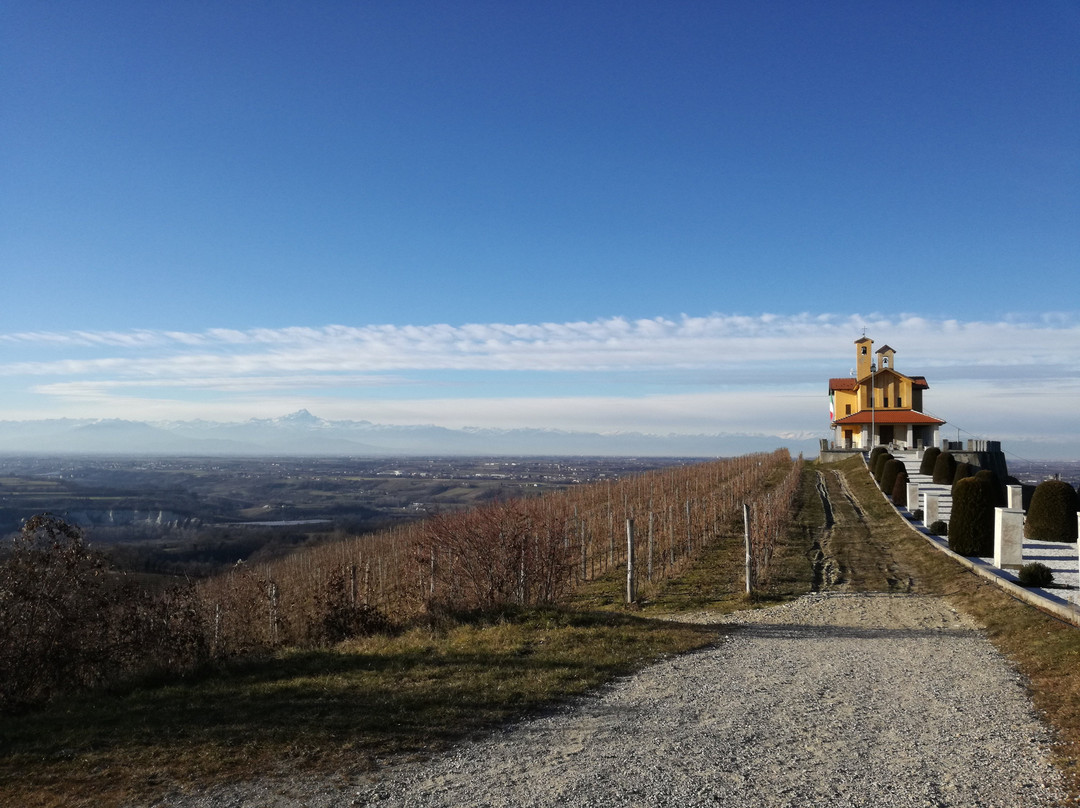 Azienda Agricola Bricco del Cucù景点图片