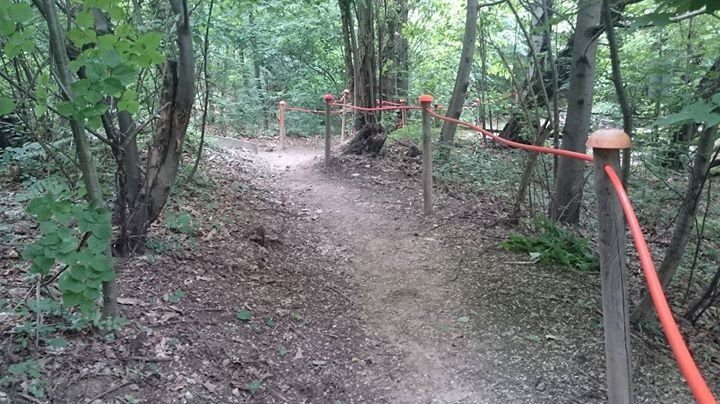 Percorso Cometa
