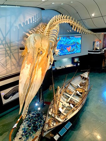 Whaling Museum景点图片