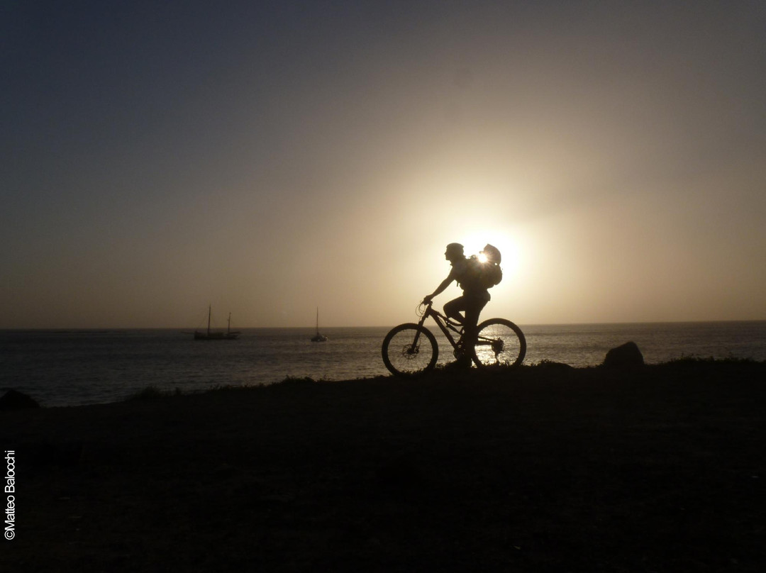 Fluyendo-El Medano必去景点