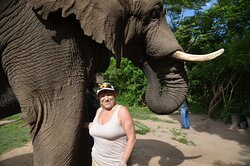 The Elephant Sanctuary-雾观必去景点