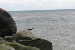 Bukit Berahu Beach-Tanjung Pandan必去景点