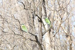 海沙小屋&会议中心主图