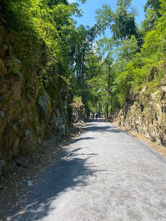 Blue Ridge Tunnel West Trailhead-韦恩斯伯勒必去景点