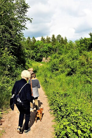 Llanymynech Rocks Nature Reserve景点图片