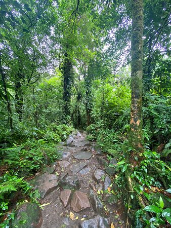 Tenorio National Park景点图片