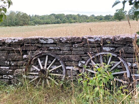 Horvan Bokkafe & Bed & Breakfast主图