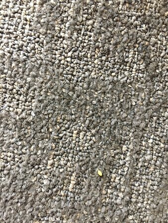 米西索加机场企业中心万豪广场套房酒店主图