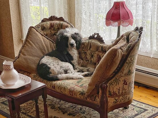 Henniker House主图