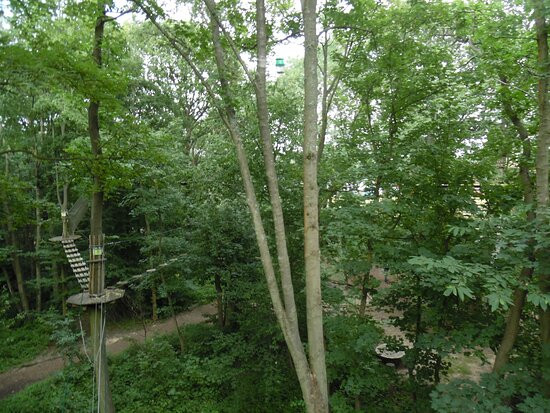 Go Ape Chessington-Chessington必去景点