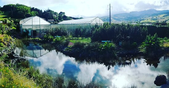 Faial Botanic Garden-奥尔塔必去景点
