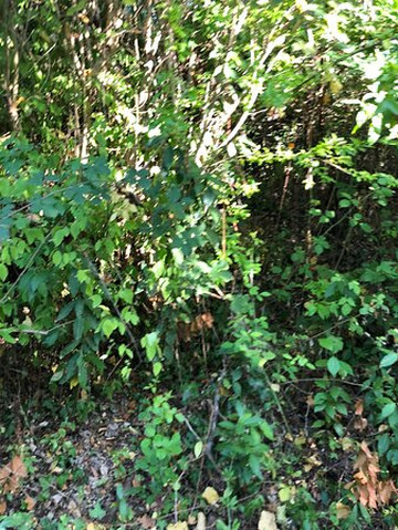 Oasi Naturalistica-Tortoreto必去景点