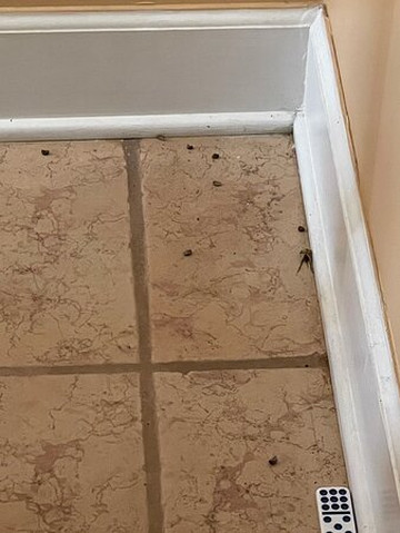 Atlantic Resort Group主图