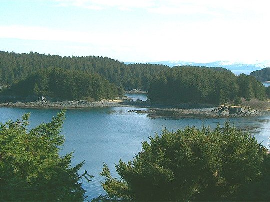 Kodiak酒店住宿-A Channel View Bed and Breakfast