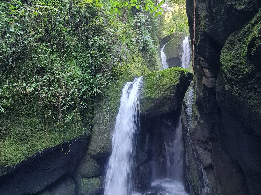 Cachoeira das Andorinhas-Sao Francisco Xavier必去景点