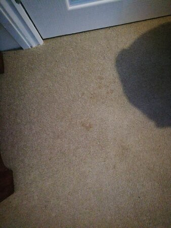 Cedar House Boutique B&B主图