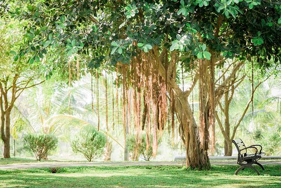 Birds Resort Hambantota主图