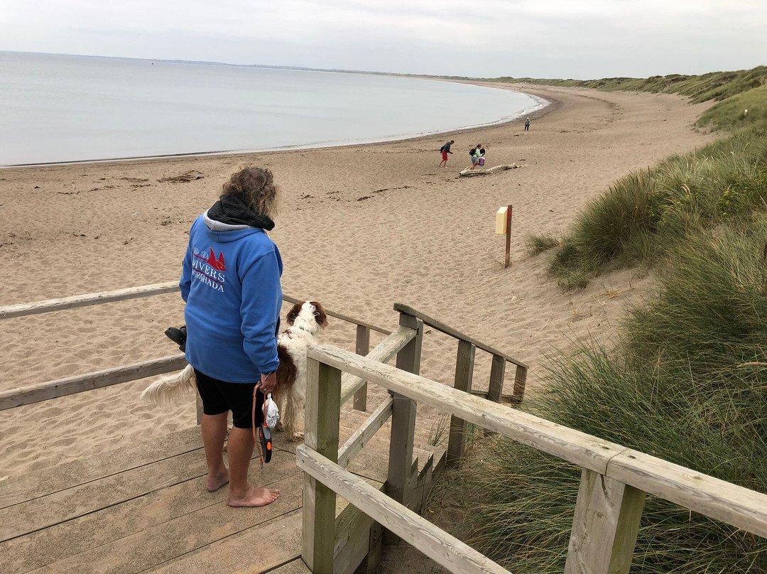 Kilmore Quay Holiday And Camping Park