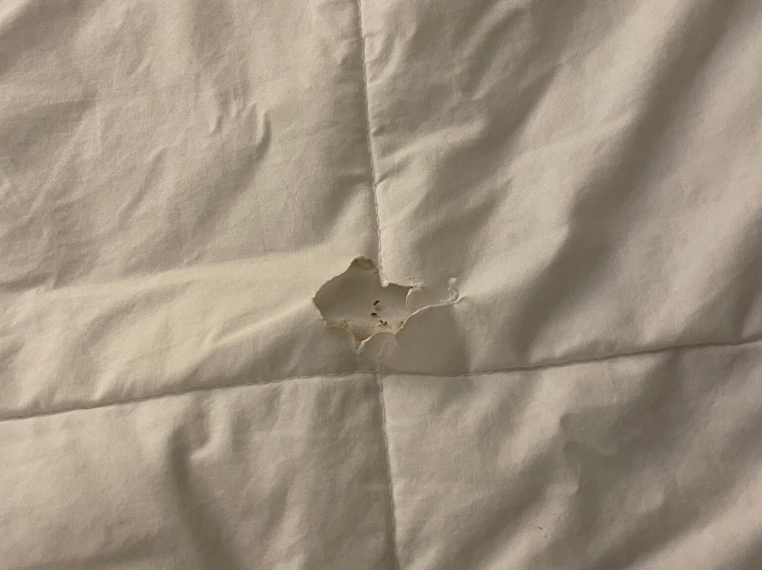 La Quinta Inn & Suites by Wyndham Ft. Lauderdale Plantation主图