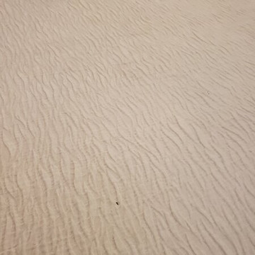 棕榈树花园酒店主图