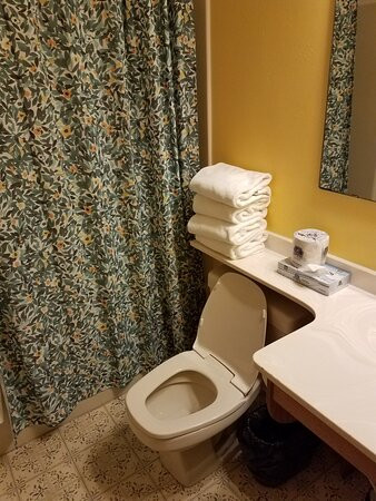 The Shoreline Resort主图