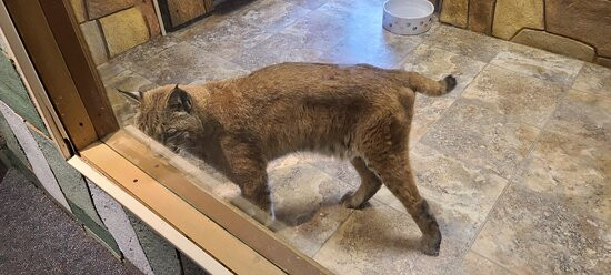 The Children's Museum-西哈特福德必去景点