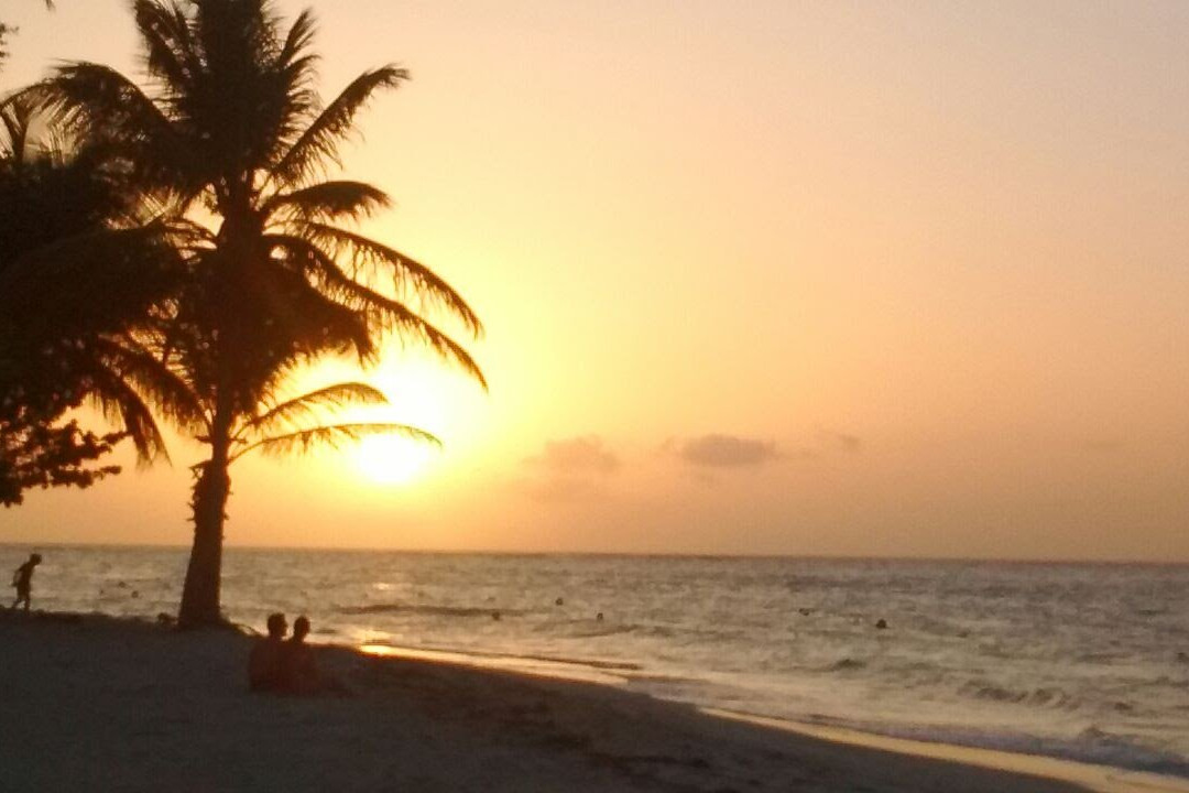 Tobago Fun Island Tours-多巴哥必去景点