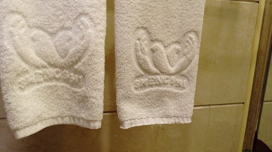 盛世花园大酒店-浴室