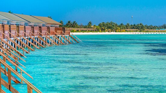 South Palm Resort Maldives-官方