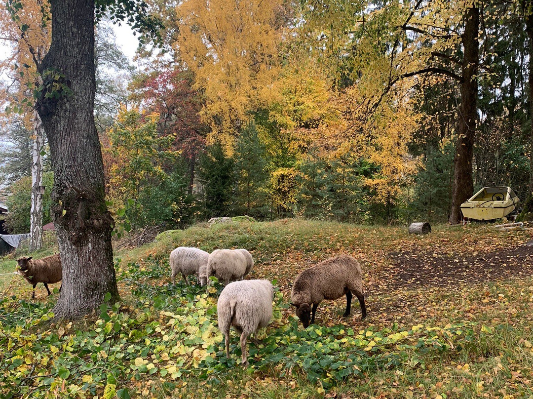 Stentorp Farm景点图片