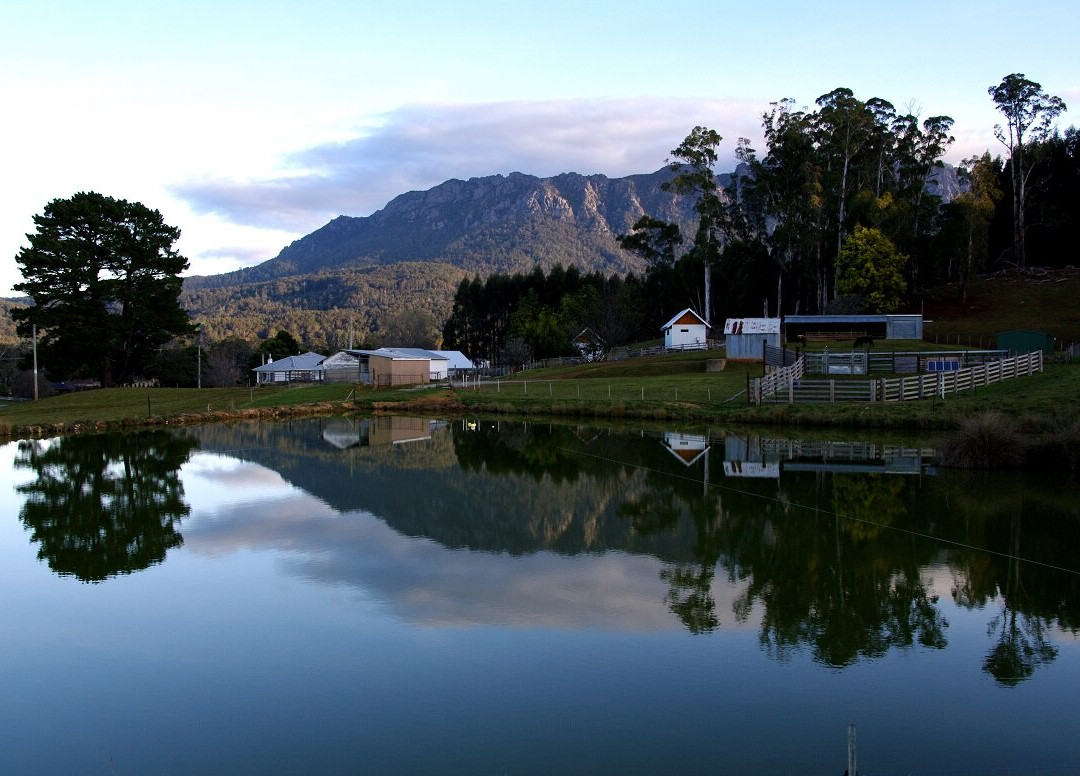 Paradise Road Farm