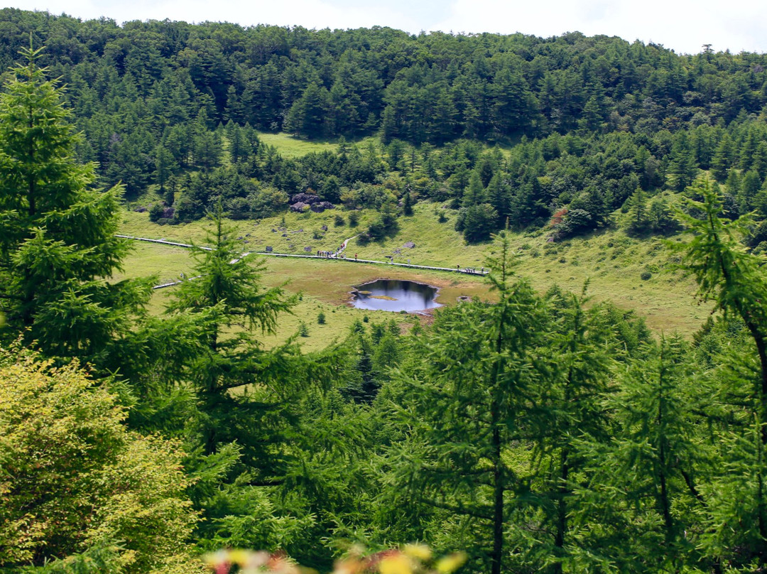 东御市旅游攻略图片