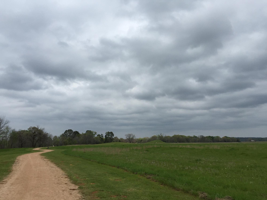 Caddo Mounds State Historic Site-Alto必去景点