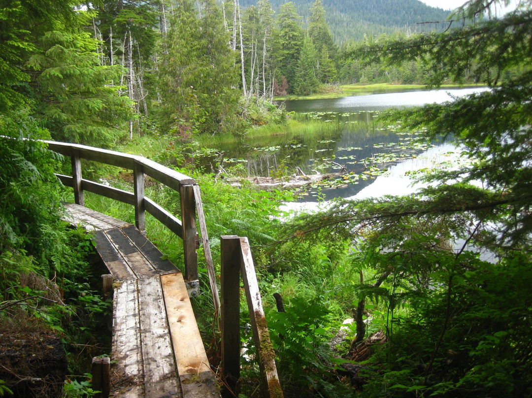 Balls Lake Trail and Picnic Site景点图片