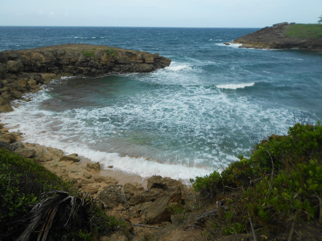Vega Alta旅游攻略图片