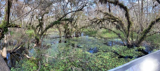 Kirby Storter Roadside Park-奥乔皮必去景点
