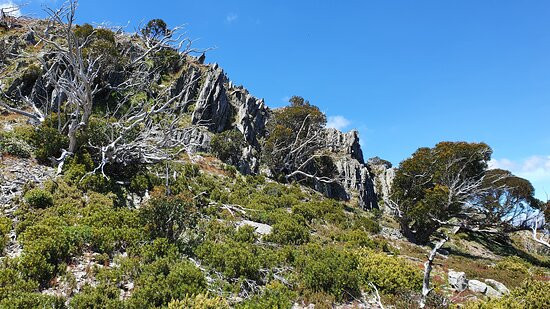Bungalow Spur Hiking Trail-Harrietville必去景点