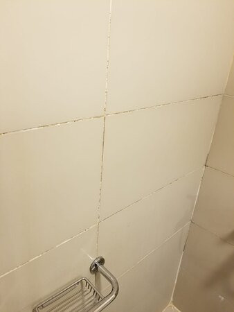 Anemon Eskisehir Hotel主图