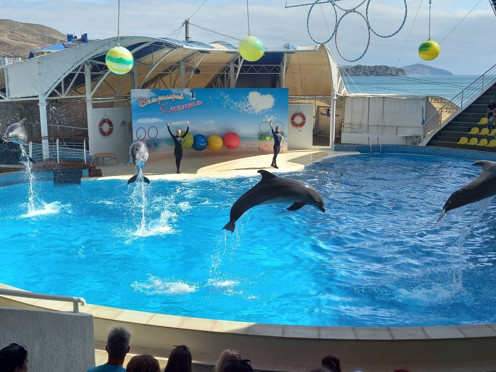 Dolphinarium Koktebel-Koktebel必去景点