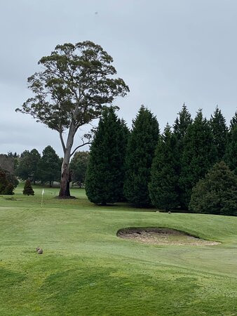 添马舰谷风景度假村主图