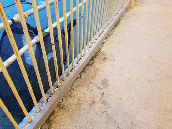 Harborside Inn主图