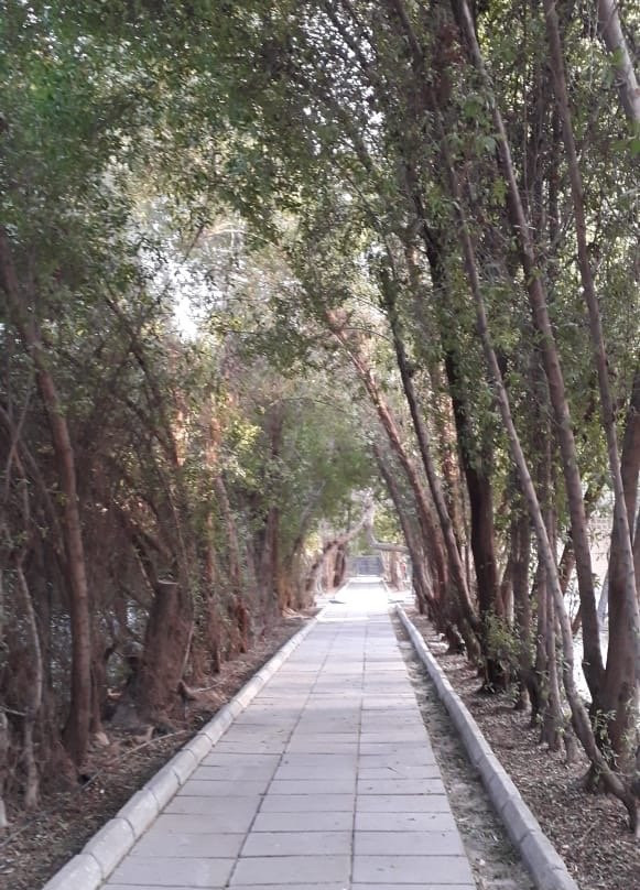 Kuwait Zoo-Kuwait City必去景点