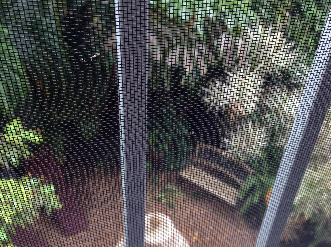 威金斯帕斯木屋旅馆主图