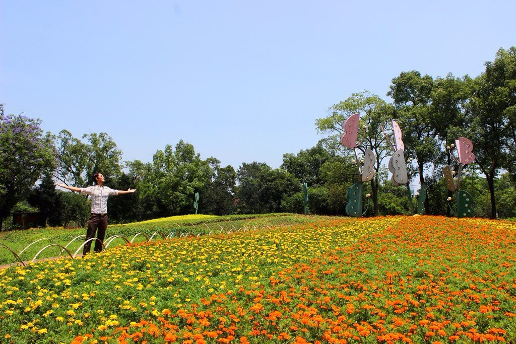 雀山公园景点图片