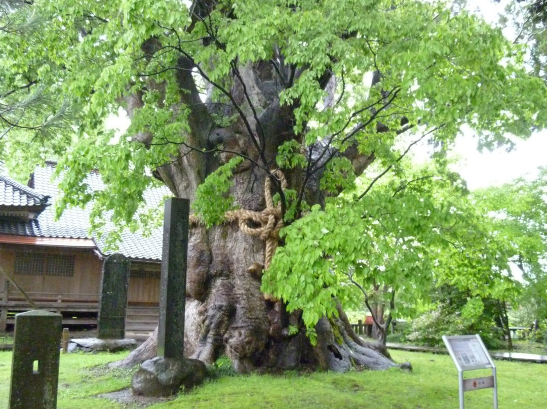 Ukawa Shrine no Okeyaki-柏崎市必去景点
