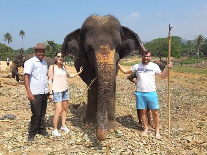 Sea Wings Holidays & Lanka Travels景点图片