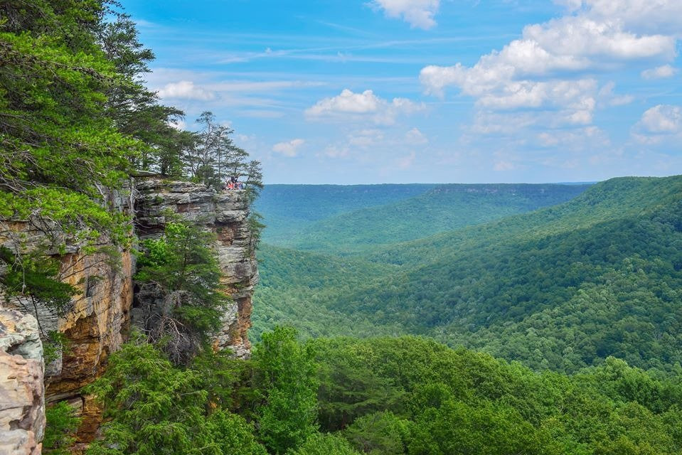 Experience Chattanooga Guided Hiking Tours-查塔努加必去景点